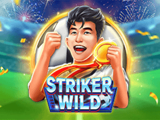 Striker Wild game cover